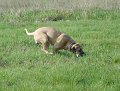 Wilddp.06.09 019